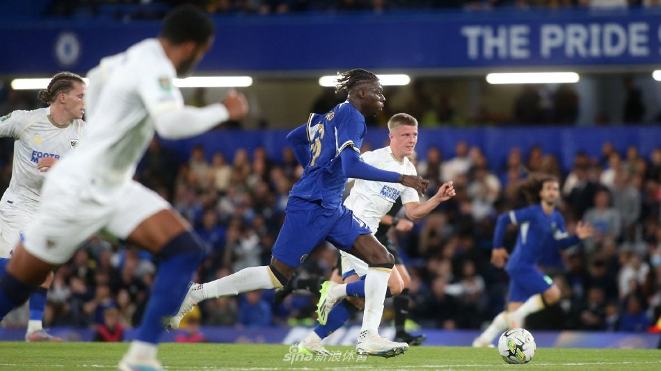 初期的适应 初期的适应